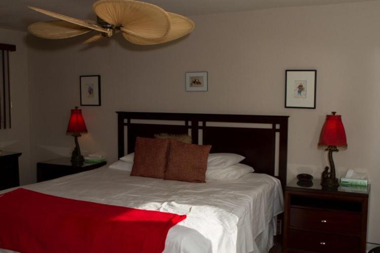 Sea Mountain Nude Resort & Spa Hotel - Adults Only Desert Hot Springs Esterno foto