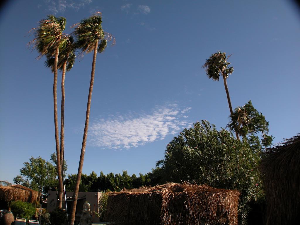 Sea Mountain Nude Resort & Spa Hotel - Adults Only Desert Hot Springs Esterno foto